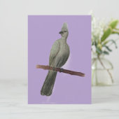 Graugürtelstift zeichnend feiertagskarte (Stehend Vorderseite)