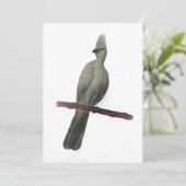 Graugürtelstift zeichnend feiertagskarte (Stehend Vorderseite)