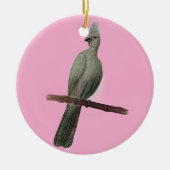 Graugürtelstift zeichnend keramik ornament (Vorne)