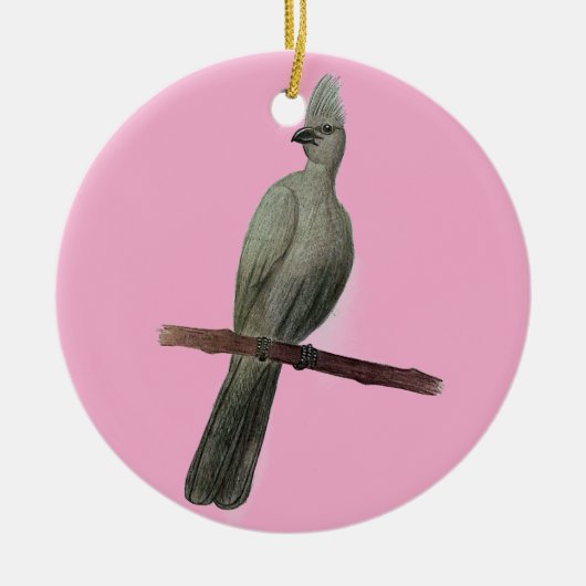 Graugürtelstift zeichnend keramik ornament (Vorne)