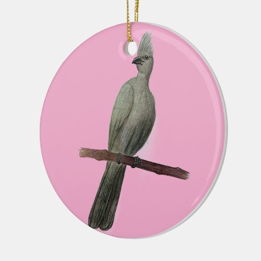 Graugürtelstift zeichnend keramik ornament (Links)