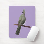 Graugürtelstift zeichnend mousepad (Mit Mouse)