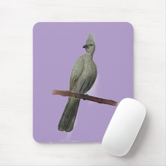 Graugürtelstift zeichnend mousepad (Mit Mouse)