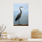 Grauheron am Steg Poster (Küche)