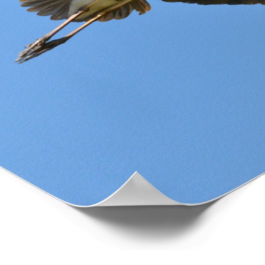 Grauheron Poster (Ecke)