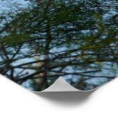 Grauheronvogel kommt oben auf einem Baum an Poster (Ecke)