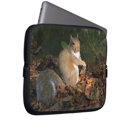 Grauhörnchen 03 laptopschutzhülle (Vorne Rechts)
