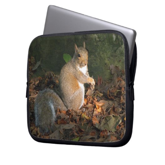 Grauhörnchen 03 laptopschutzhülle (Vorderseite Links)