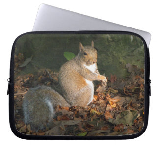 Grauhörnchen 03 laptopschutzhülle