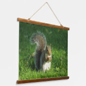 Grauhörnchen, Bute Park, Cardiff Wandteppich Mit Holzrahmen (Gewinkelt)