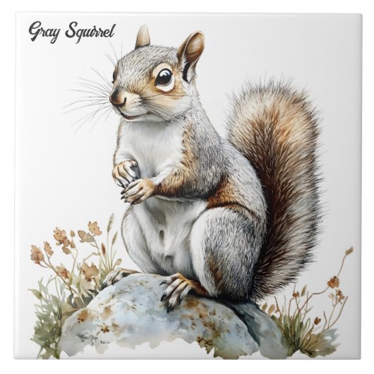 Grauhörnchen Fliese (Vorderseite)