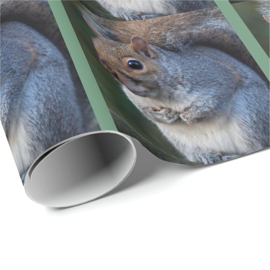 Grauhörnchen-Geschenkpapier Geschenkpapier (Rolleneckpunkt)