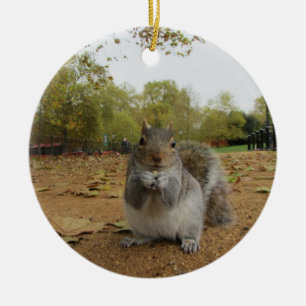 Grauhörnchen Hyde Park. Keramikornament