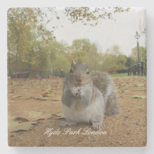 Grauhörnchen Hyde Park London. Steinuntersetzer
