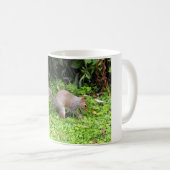 Grauhörnchen Kaffeetasse (VorderseiteRechts)