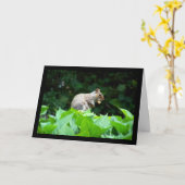 Grauhörnchen mit Nuss Karte (Gelbe Blume)
