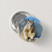 Grauhörnchen, Monterey Bay, Kalifornien Button (Vorne & Hinten)