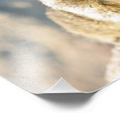 Grauhörnchen, Monterey Bay, Kalifornien Fotodruck (Ecke)