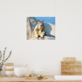 Grauhörnchen, Monterey Bay, Kalifornien Poster (Küche)