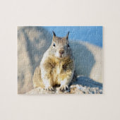 Grauhörnchen, Monterey Bay, Kalifornien Puzzle (Horizontal)