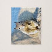 Grauhörnchen, Monterey Bay, Kalifornien Puzzle (Vertikal)