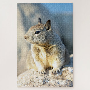 Grauhörnchen, Monterey Bay, Kalifornien Puzzle