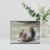 Grauhörnchen-Porträt Postkarte (Stehend Vorderseite)