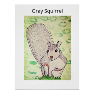 Grauhörnchen poster