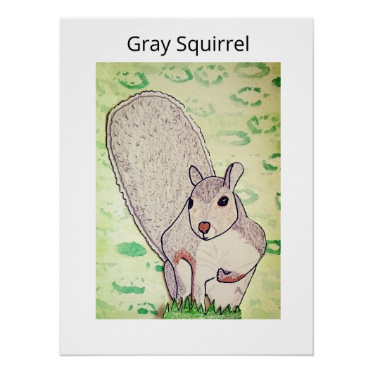 Grauhörnchen poster (Vorderseite)