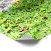 Grauhörnchen Poster (Ecke)