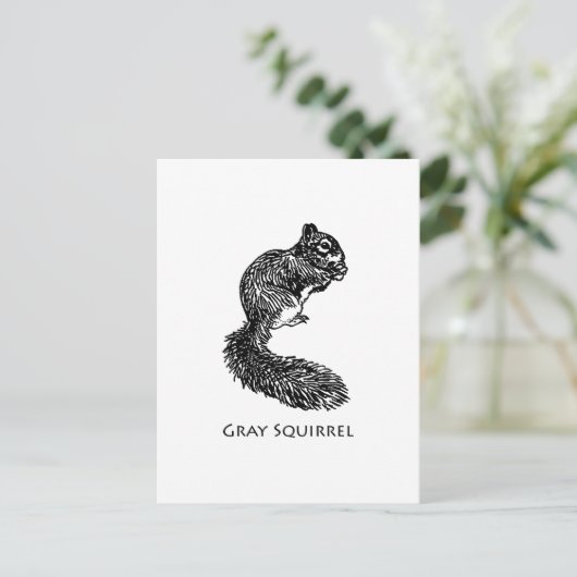 Grauhörnchen Postkarte (Stehend Vorderseite)