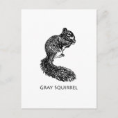 Grauhörnchen Postkarte (Vorderseite)