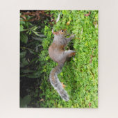 Grauhörnchen Puzzle (Vertikal)