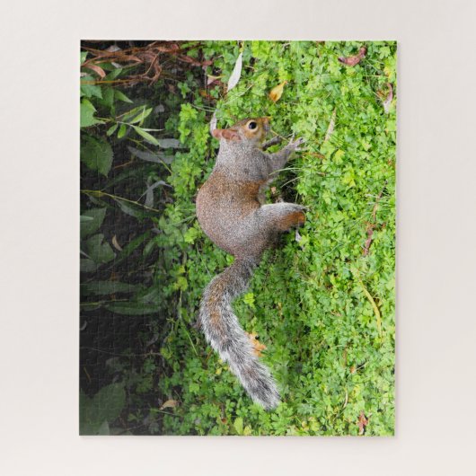 Grauhörnchen Puzzle (Vertikal)