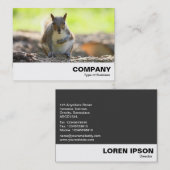 Grauhörnchen Visitenkarte (Vorne/Hinten)