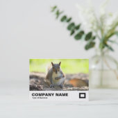 Grauhörnchen Visitenkarte (Stehend Vorderseite)