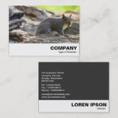 Grauhörnchen Visitenkarte (Vorne/Hinten)