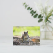 Grauhörnchen Visitenkarte (Stehend Vorderseite)