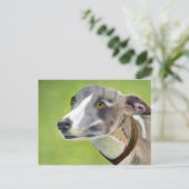 Grauhund-Postkarte (a404) Postkarte (Stehend Vorderseite)
