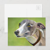 Grauhund-Postkarte (a404) Postkarte (Vorne/Hinten)
