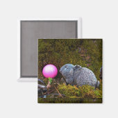 Graukaninchen / sonnige und rosa Golfkugel Magnet (Vorderseite/Rückseite)