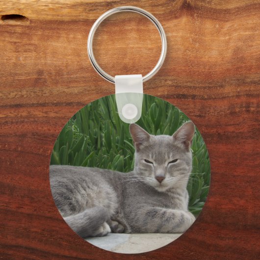 Graukat-Schlüsselanhänger Schlüsselanhänger (Vorderseite)