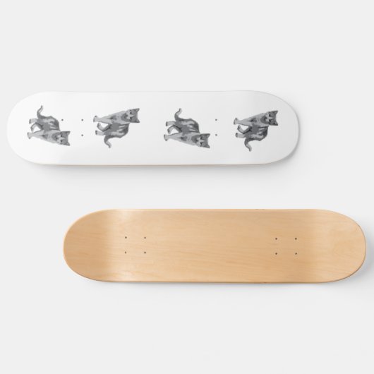 Graukätzchen Skateboard (Horizontal)