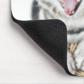 Graukatze auf weißem Hintergrund Mousepad (Ecke)