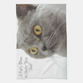 Graukatze Golden Eyes Nah Küchentuch (Vertikal)