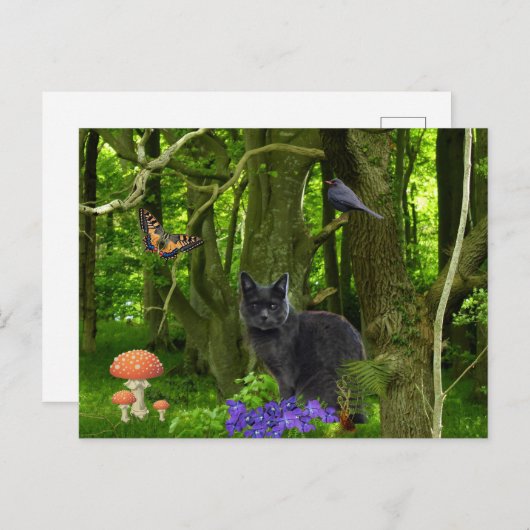 Graukatze im Wald Postkarte (Vorne/Hinten)
