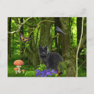 Graukatze im Wald Postkarte