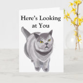 Graukatze Karte (Gelbe Blume)