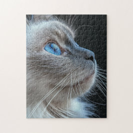 Graukatze mit blauen Augen Puzzle