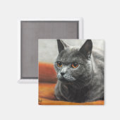 Graukatze mit orangefarbenen Augen Magnet (Vorderseite/Rückseite)